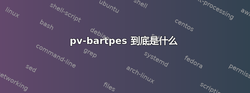 pv-bartpes 到底是什么