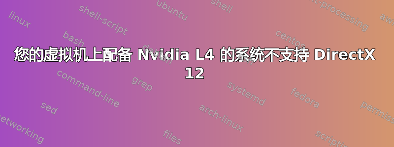 您的虚拟机上配备 Nvidia L4 的系统不支持 DirectX 12