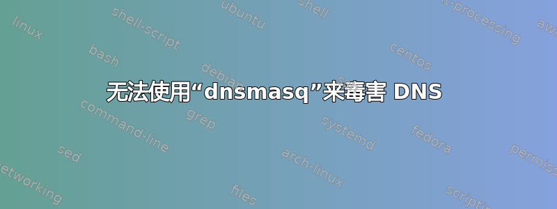 无法使用“dnsmasq”来毒害 DNS