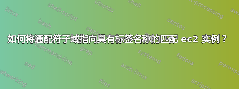 如何将通配符子域指向具有标签名称的匹配 ec2 实例？