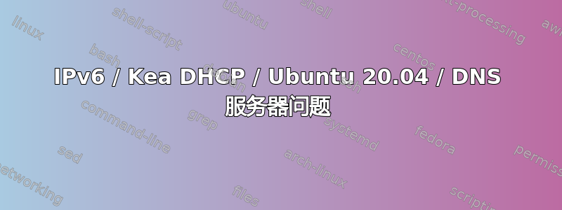 IPv6 / Kea DHCP / Ubuntu 20.04 / DNS 服务器问题