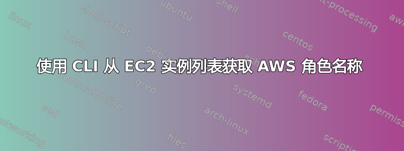 使用 CLI 从 EC2 实例列表获取 AWS 角色名称