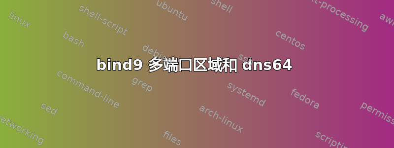 bind9 多端口区域和 dns64