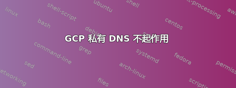 GCP 私有 DNS 不起作用