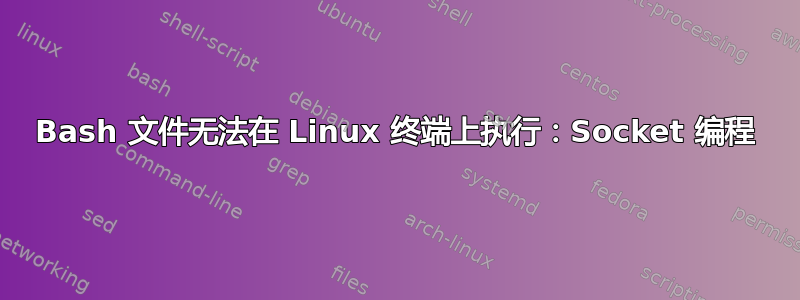 Bash 文件无法在 Linux 终端上执行：Socket 编程