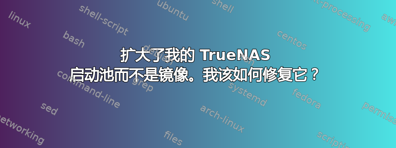 扩大了我的 TrueNAS 启动池而不是镜像。我该如何修复它？