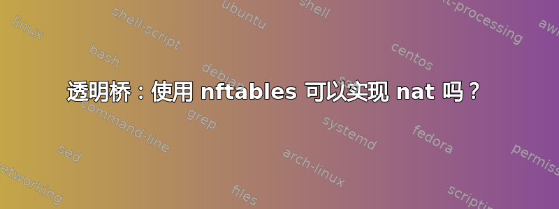 透明桥：使用 nftables 可以实现 nat 吗？