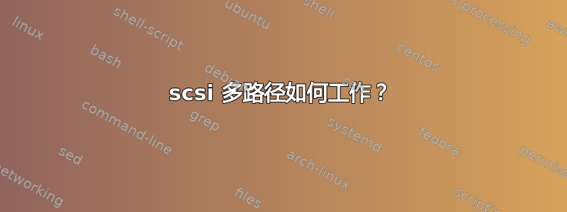 scsi 多路径如何工作？