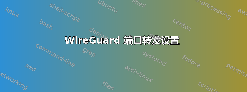 WireGuard 端口转发设置