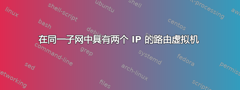 在同一子网中具有两个 IP 的路由虚拟机