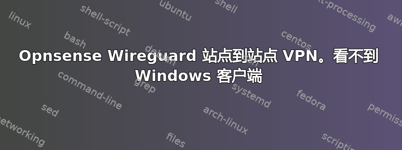 Opnsense Wireguard 站点到站点 VPN。看不到 Windows 客户端