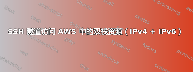 SSH 隧道访问 AWS 中的双栈资源（IPv4 + IPv6）