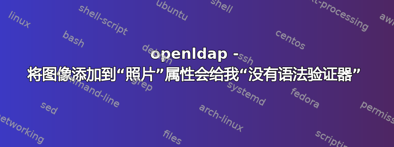 openldap - 将图像添加到“照片”属性会给我“没有语法验证器”