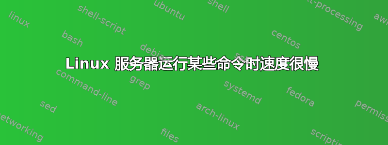 Linux 服务器运行某些命令时速度很慢