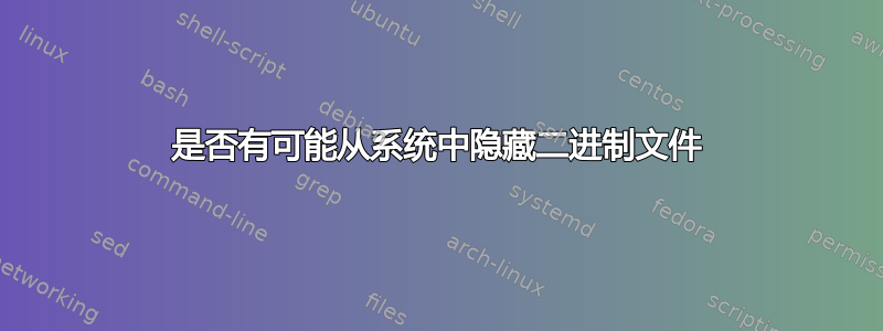 是否有可能从系统中隐藏二进制文件