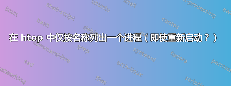 在 htop 中仅按名称列出一个进程（即使重新启动？）