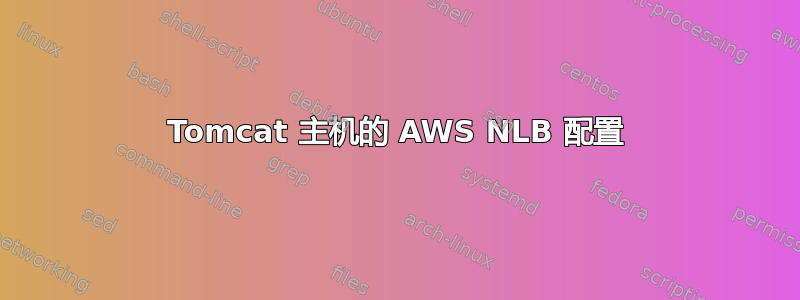 Tomcat 主机的 AWS NLB 配置