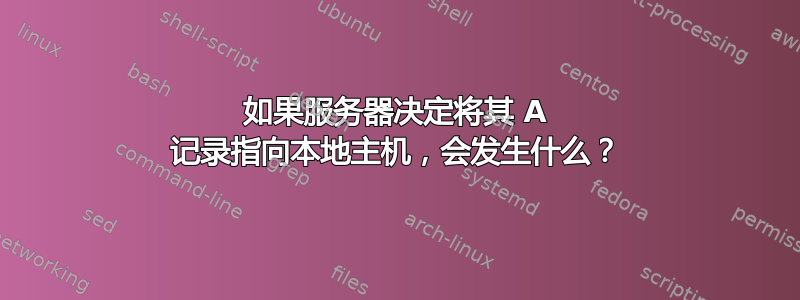 如果服务器决定将其 A 记录指向本地主机，会发生什么？