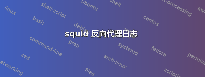 squid 反向代理日志