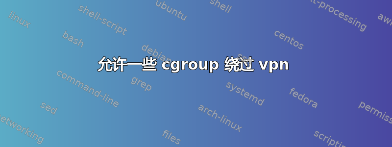 允许一些 cgroup 绕过 vpn