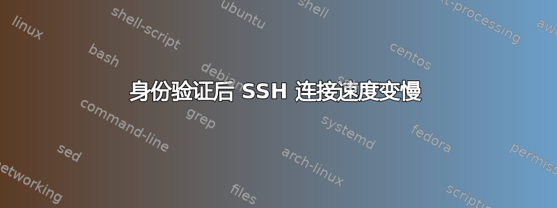 身份验证后 SSH 连接速度变慢