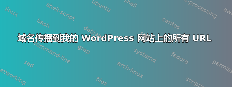 域名传播到我的 WordPress 网站上的所有 URL