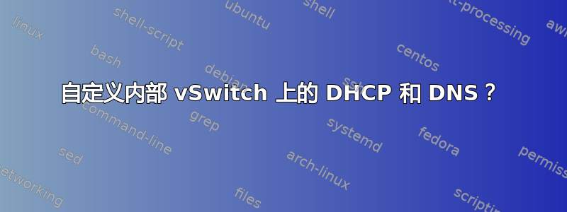 自定义内部 vSwitch 上的 DHCP 和 DNS？