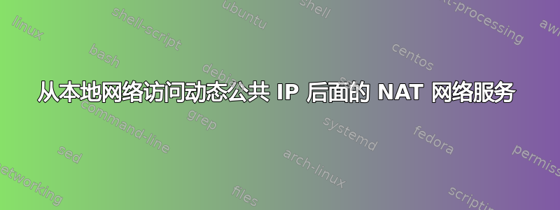 从本地网络访问动态公共 IP 后面的 NAT 网络服务