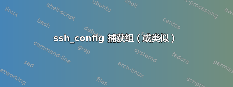 ssh_config 捕获组（或类似）