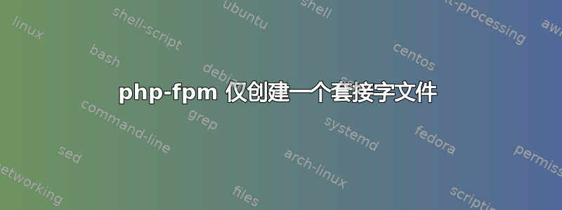 php-fpm 仅创建一个套接字文件