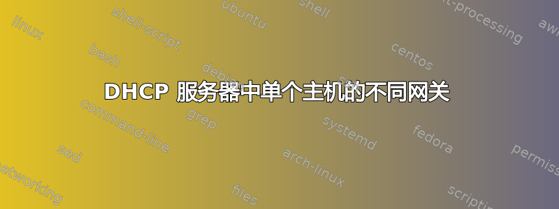 DHCP 服务器中单个主机的不同网关