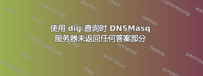 使用 dig 查询时 DNSMasq 服务器未返回任何答案部分