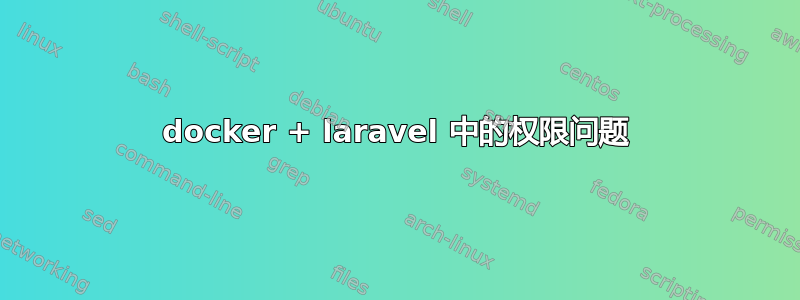 docker + laravel 中的权限问题