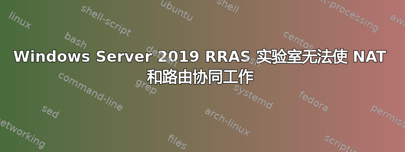 Windows Server 2019 RRAS 实验室无法使 NAT 和路由协同工作