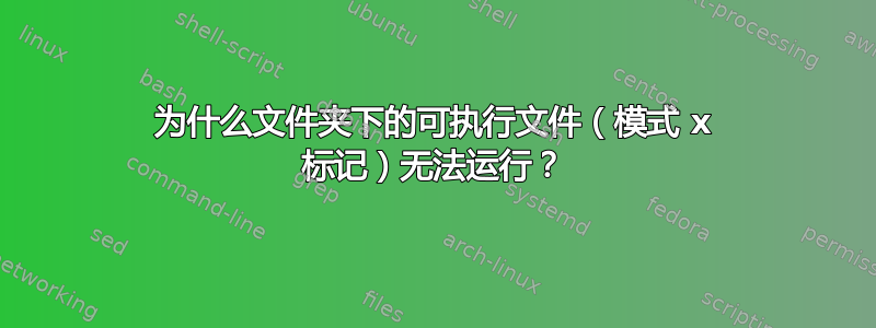 为什么文件夹下的可执行文件（模式 x 标记）无法运行？