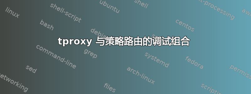 tproxy 与策略路由的调试组合