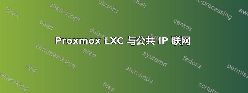 Proxmox LXC 与公共 IP 联网