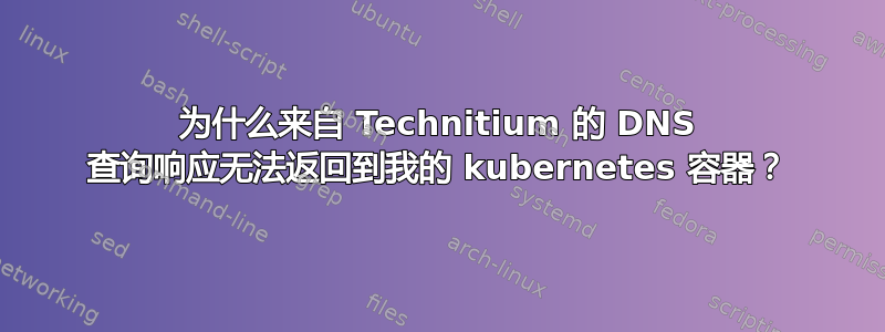 为什么来自 Technitium 的 DNS 查询响应无法返回到我的 kubernetes 容器？