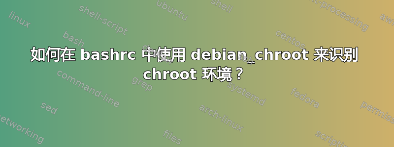 如何在 bashrc 中使用 debian_chroot 来识别 chroot 环境？