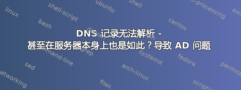 DNS 记录无法解析 - 甚至在服务器本身上也是如此？导致 AD 问题