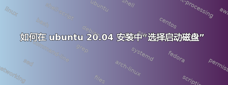 如何在 ubuntu 20.04 安装中“选择启动磁盘”