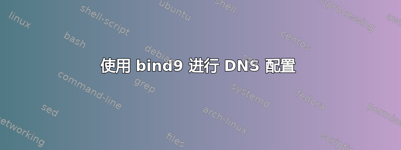 使用 bind9 进行 DNS 配置