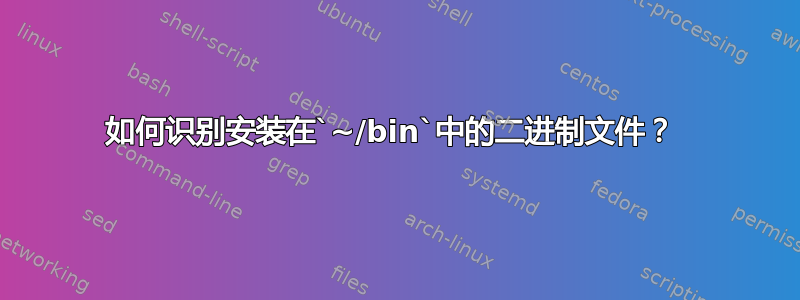 如何识别安装在`~/bin`中的二进制文件？ 