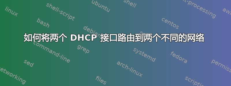 如何将两个 DHCP 接口路由到两个不同的网络