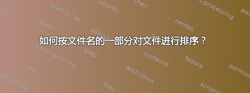 如何按文件名的一部分对文件进行排序？