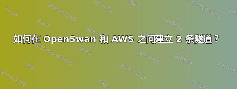 如何在 OpenSwan 和 AWS 之间建立 2 条隧道？