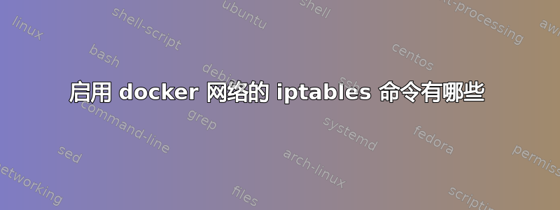 启用 docker 网络的 iptables 命令有哪些