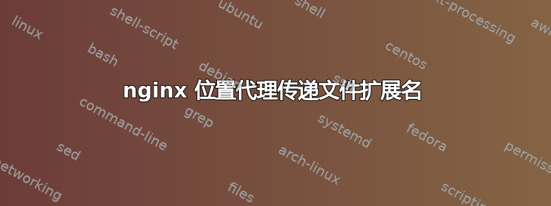 nginx 位置代理传递文件扩展名