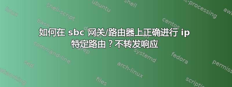 如何在 sbc 网关/路由器上正确进行 ip 特定路由？不转发响应