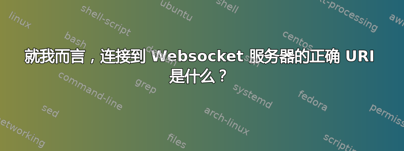 就我而言，连接到 Websocket 服务器的正确 URI 是什么？